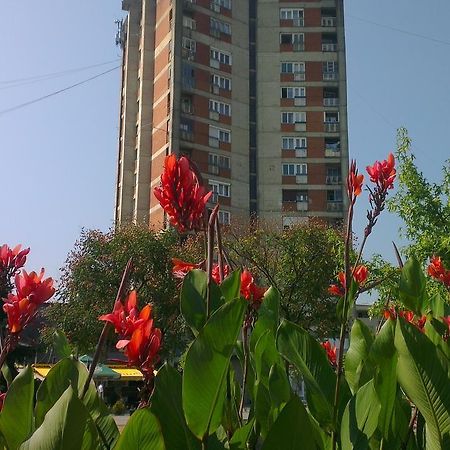 Hotel Konaciste Trstenik Екстериор снимка